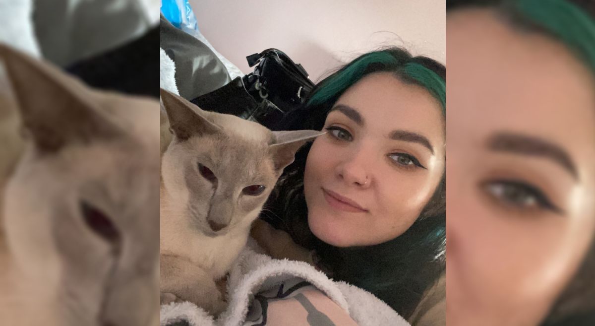 Young woman with dark and green hair pictured with pale Siamese cat